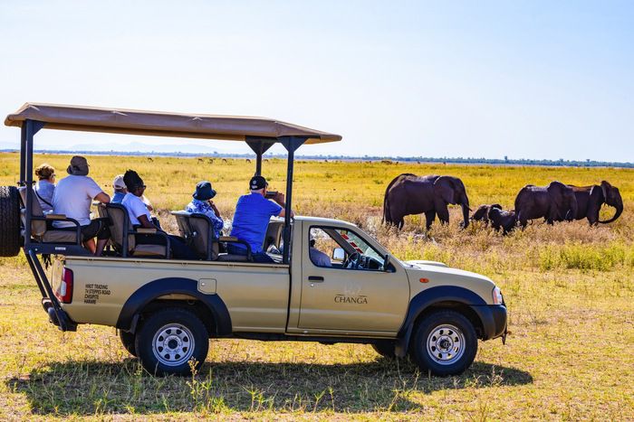 Shore excursions and activities on African Dream